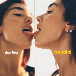 Houdini Houdini